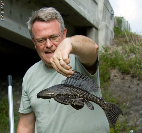 Michael with the pleco