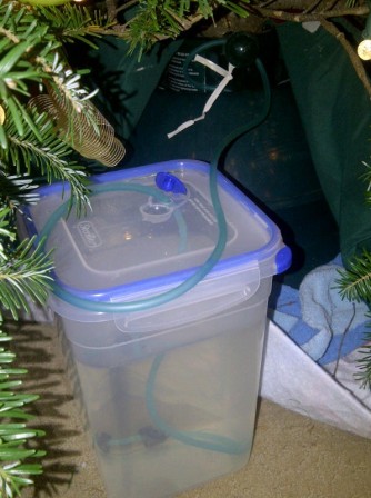 x-mas tree watering system.jpg