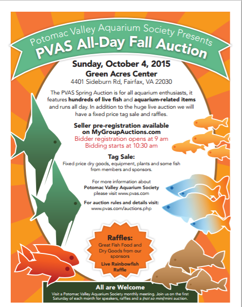 fall15auction.png