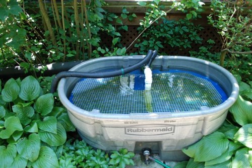 June 2009: Sherry Mitchell's Pond Skippy Filter 