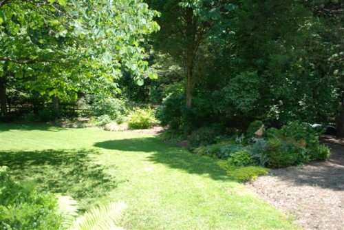 June 2009: Sherry's Garden