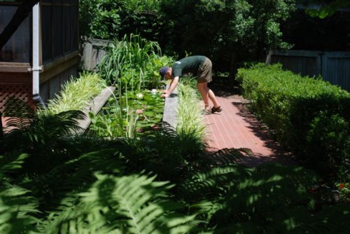 June 2009: Cavan Checks Out the Pond
