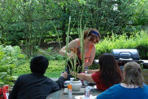 June 2009: Sherry Describes Her Planting Methods