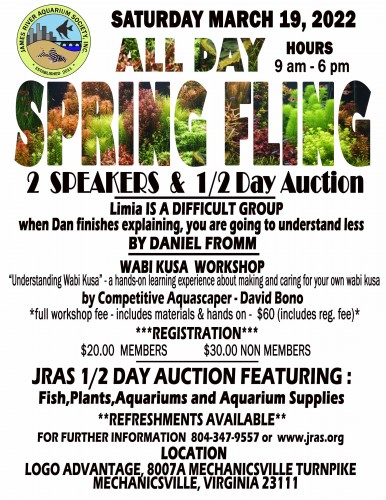SPRINGFLING MAIN FLYER 3-19-2022 PROPOSED FEE  Recovered.jpg