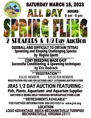 SPRINGFLING MAIN FLYER 3-18-2023.jpg