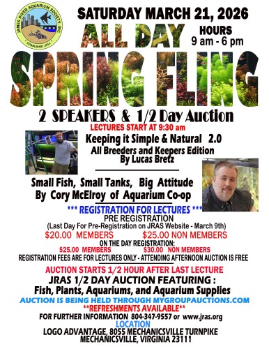 SPRINGFLING MAIN FLYER 3-21-2026LOWRES.jpg