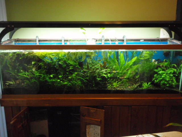 is so hard to get a good "whole tank shot"