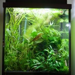 March 2009: Dave’s 30G