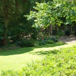 June 2009: Sherry’s Garden
