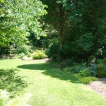 June 2009: Sherry’s Garden