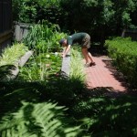 June 2009: Cavan Checks Out the Pond