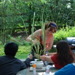 June 2009: Sherry Describes Her Planting Methods