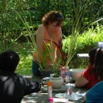 June 2009: Sherry Describes Her Planting Methods