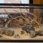 March 2010: Hardscape