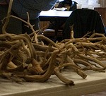 March 2010: Manzanita
