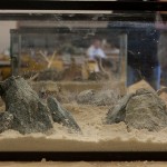 March 2010: Hardscape