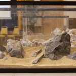 March 2010: Hardscape