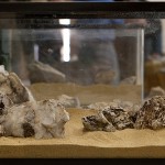 March 2010: Hardscape