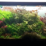 nick tank 3